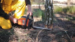 Best Lawn Maintenance Plans  in Middletown, PA